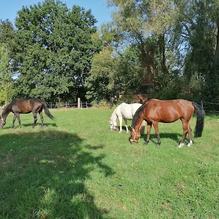 Auf Dem Lande