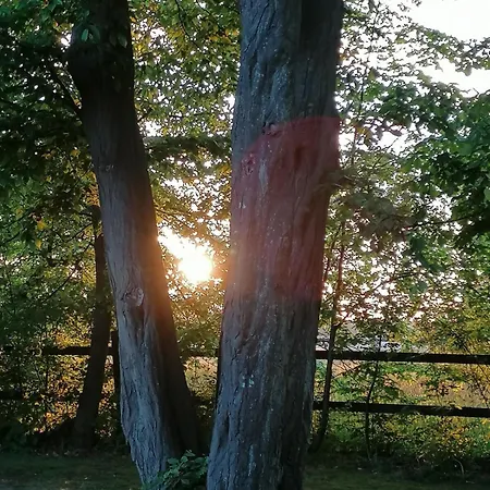 Apartmán Auf Dem Lande Wrestedt